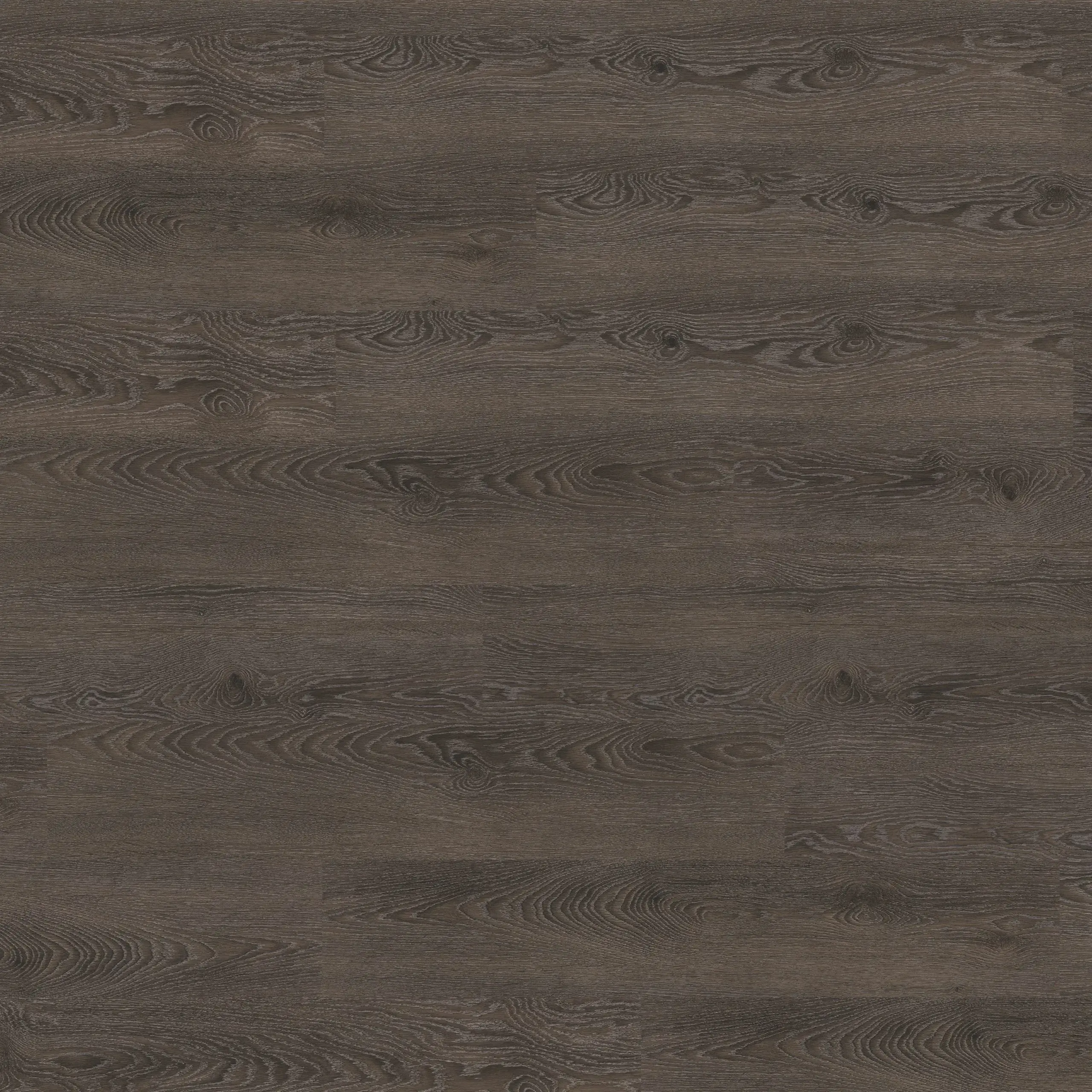 Corpet Modico-El-Torro-Eiche-silver-metallic
